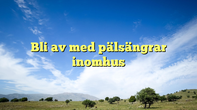 Bli av med pälsängrar inomhus