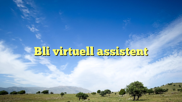 Bli virtuell assistent