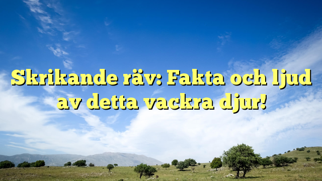 Skrikande räv: Fakta och ljud av detta vackra djur!