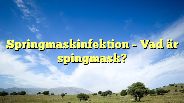 Springmaskinfektion – Vad är spingmask?
