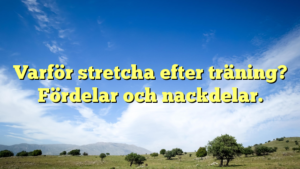 Varför Stretcha Efter Träning? Fördelar Och Nackdelar. – Läs Mer Här